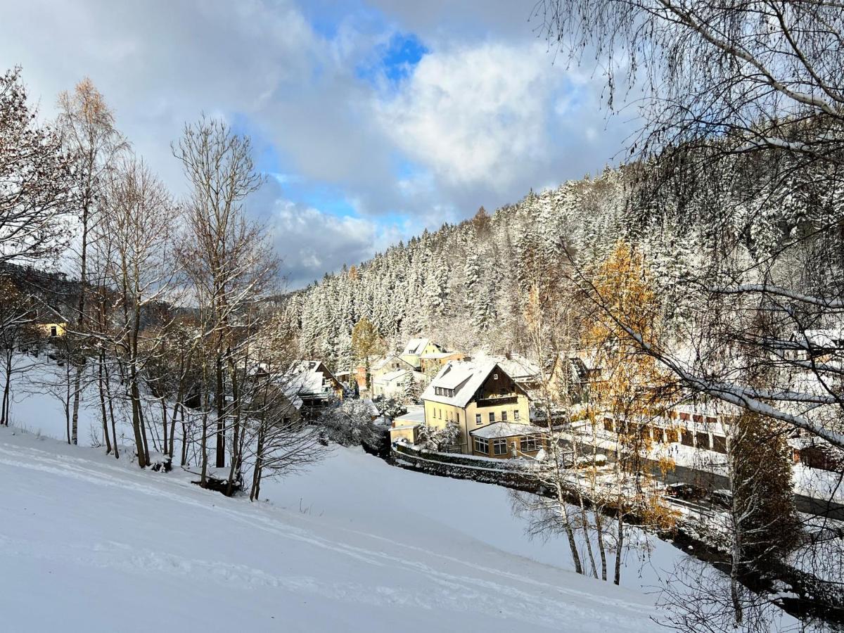 Urige Berghuette Mit Kamin Und Sauna Im Erzgebirge Nahe Schwarzwassertal Pobershau ภายนอก รูปภาพ